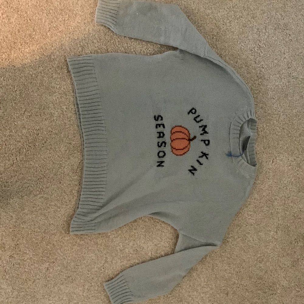 Light gray wooden ships extra small/small sweater. Worn a handful of times.